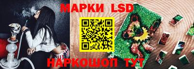PSILOCYBIN Нальчик