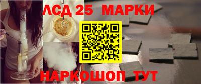 PSILOCYBIN Нальчик