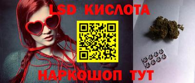 PSILOCYBIN Нальчик
