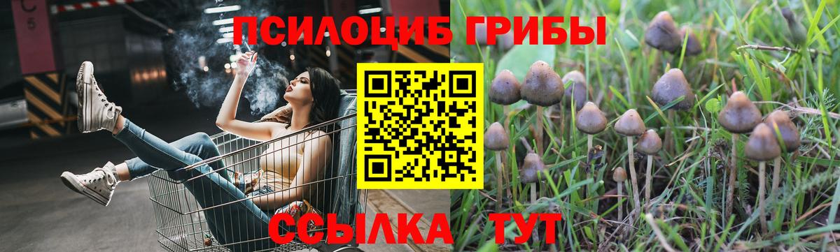 Галлюциногенные грибы Magic Shrooms Северск