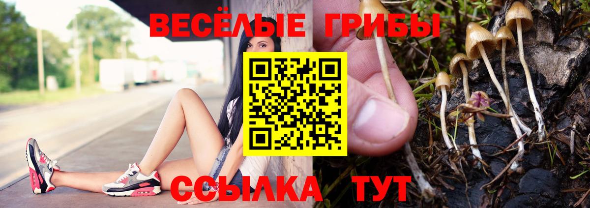 Северск  Галлюциногенные грибы мухоморы  Псилоцибиновые грибы ЛСД  Вход с VPN 